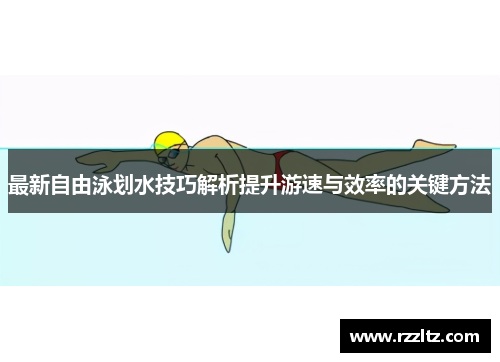 最新自由泳划水技巧解析提升游速与效率的关键方法