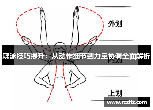 蝶泳技巧提升：从动作细节到力量协调全面解析
